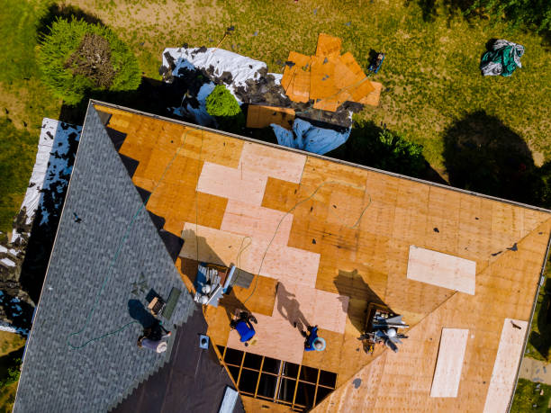 Best Affordable Roofing Company  in Linden, MI