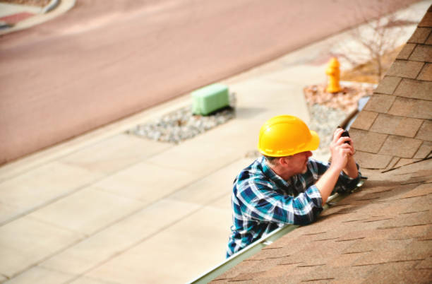 Best Roofing Contractor Near Me  in Linden, MI
