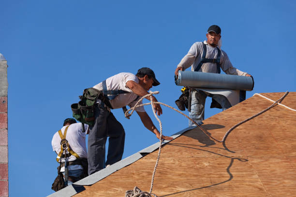 Best Sealant for Roof  in Linden, MI
