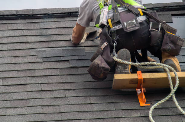 Best Emergency Roof Repair  in Linden, MI