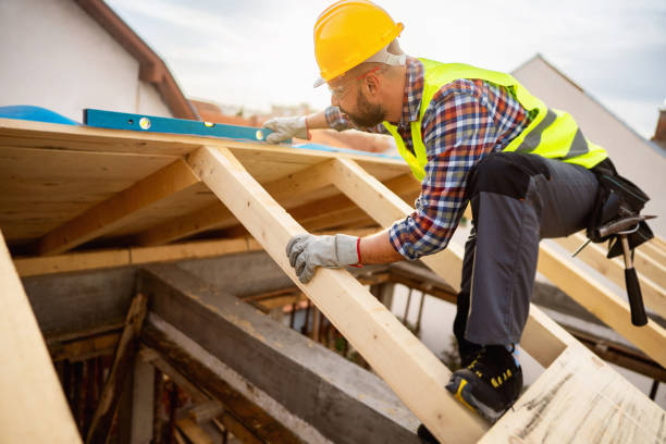 Best Roof Maintenance Services  in Linden, MI