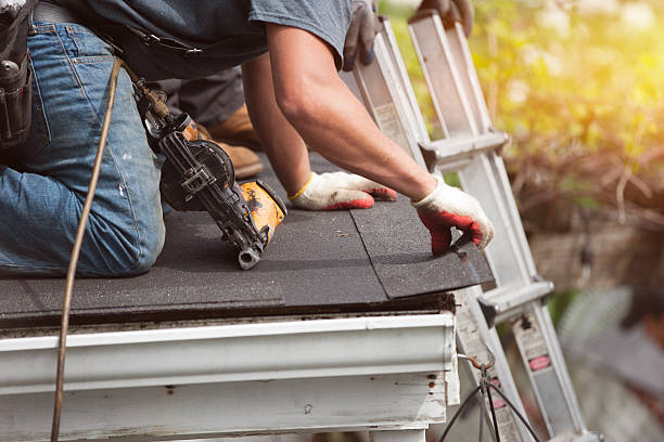 Best Flat Roof Repair Services  in Linden, MI