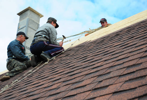 Best Metal Roofing Contractor  in Linden, MI