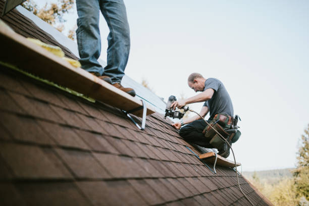 Best Roof Maintenance Services  in Linden, MI