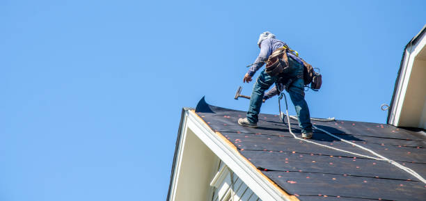Best Local Roofing Companies  in Linden, MI